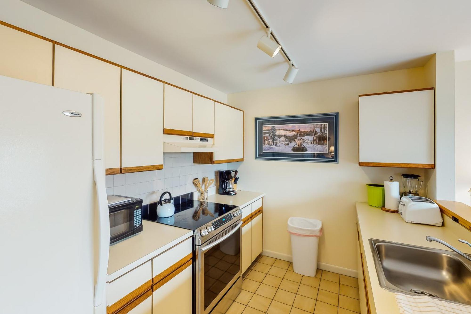 Mountainside Resort IV ストー 部屋 写真